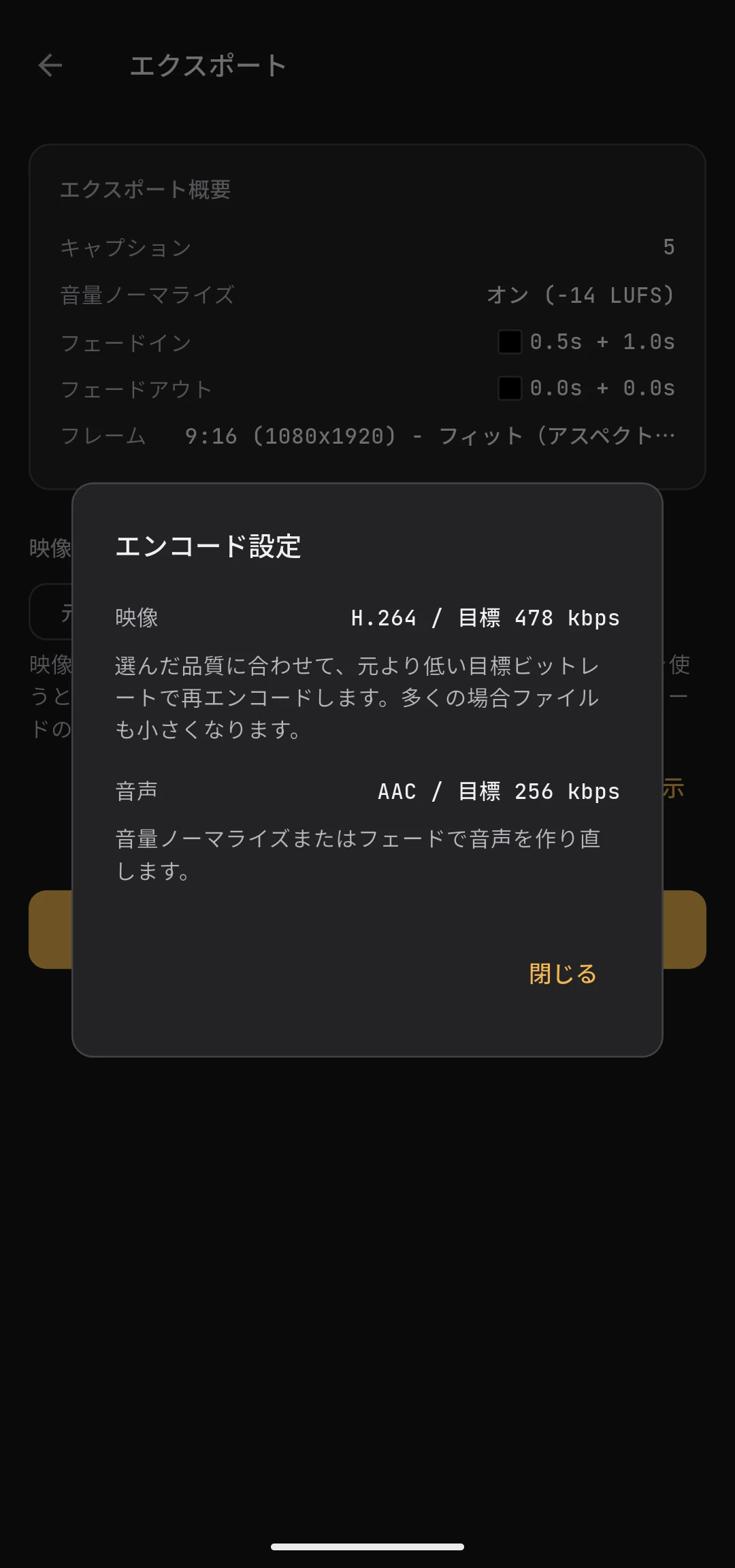 エンコード設定ダイアログ：映像と音声それぞれの処理内容と理由